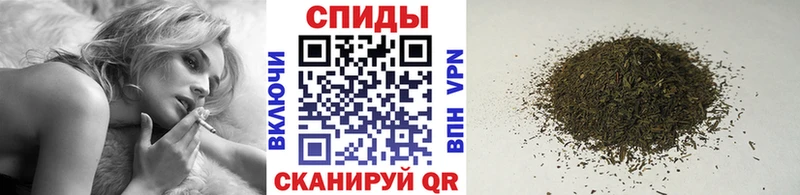 Купить закладки  Сураж  БУТИРАТ бутик 