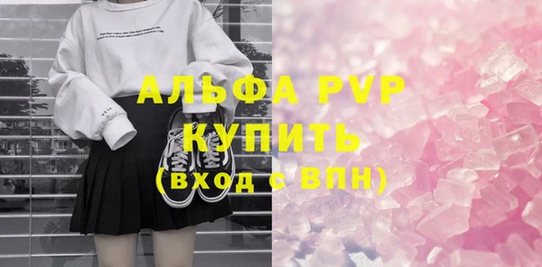 стафф Арсеньев