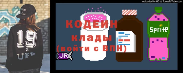 стафф Арсеньев