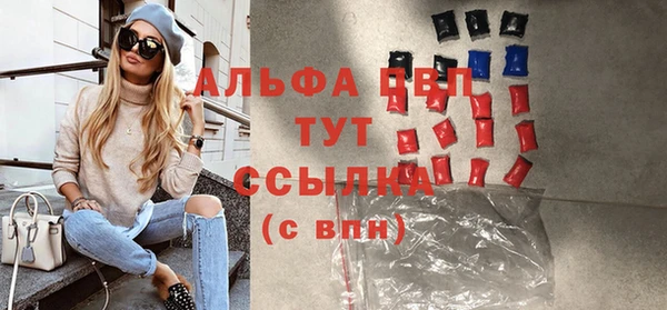 стафф Арсеньев