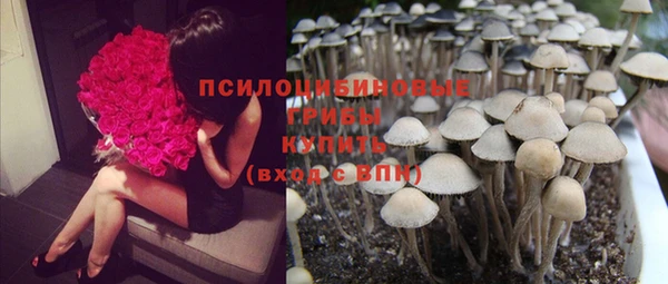 стафф Арсеньев
